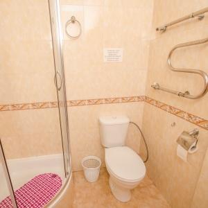 Accomodation facility Ryzhy Kot Guest House