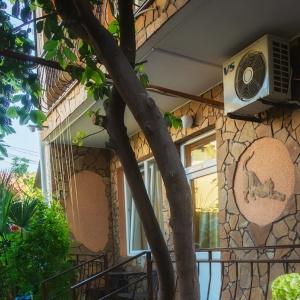 Accomodation facility Ryzhy Kot Guest House
