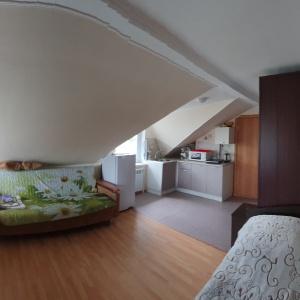 Accomodation facility Parkovy Apartments