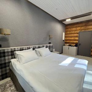Hotel Skazka Altaya
