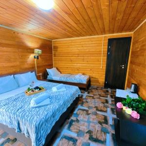 Иное жильё Аметист Гостевой Дом
