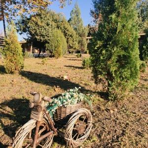 Иное жильё Аметист Гостевой Дом