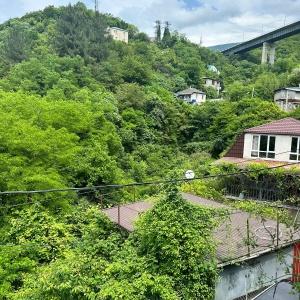 Иное жильё Панорама