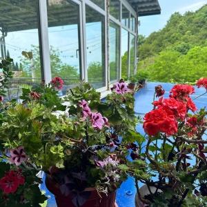 Иное жильё Панорама