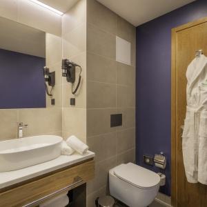 Hotel Holiday Inn Yerevan