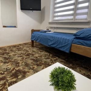 Accomodation facility Omali's
