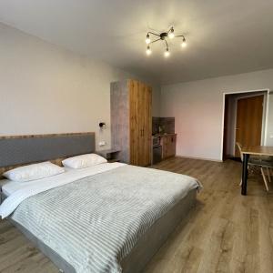 Accomodation facility Apartments on Vlasikhinskaya 65 A
