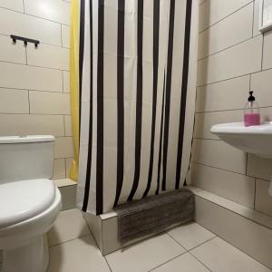 Accomodation facility Apartments on Vlasikhinskaya 65 A