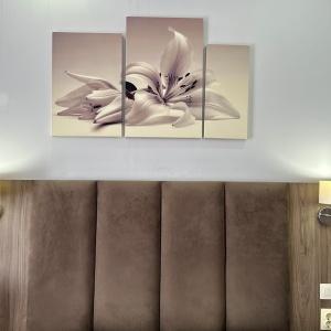 Accomodation facility Versal