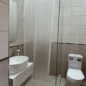 Иное жильё Астра Гостевой Дом