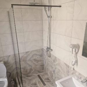 Иное жильё Аделина