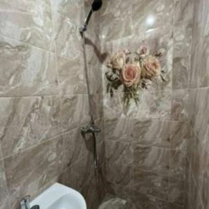 Иное жильё Катюша