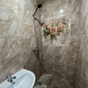 Иное жильё Катюша