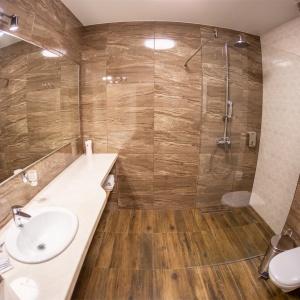 Hotel Prionezhsky