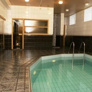 Hotel Prionezhsky