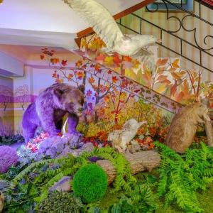 Hotel Moya