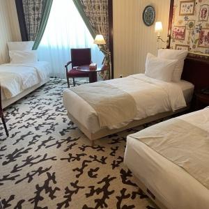 Hotel City Palace