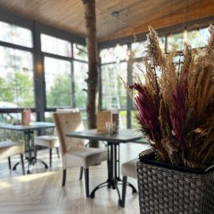 Hotel Deima
