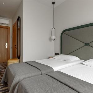 Hotel Vladimir