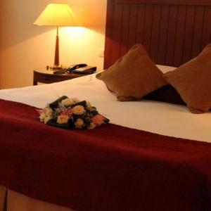 Hotel Radisson Blu Tashkent
