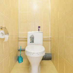 Accomodation facility Lion Apartments 2-room Apartment on Tyumensky tract 8, 4 floor