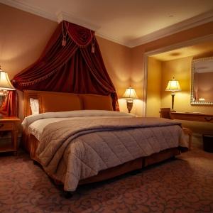 Accomodation facility Donbass Palace