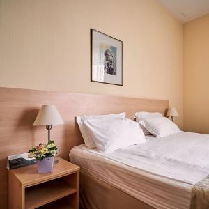 Tsentralny by USTA Hotels