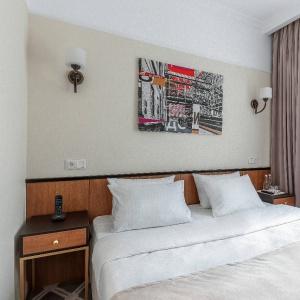 Hotel Altay