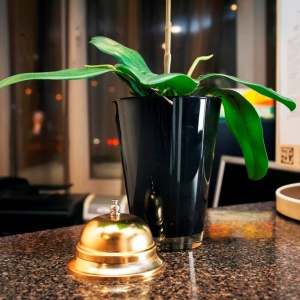 Hotel Equator
