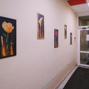 Иное жильё Скай Сити Абри Люкс