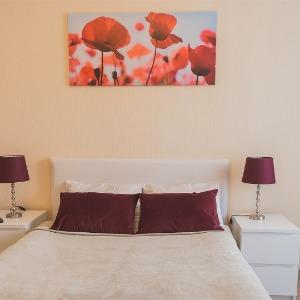 Accomodation facility Solar City Abri Luxe