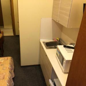 Accomodation facility Rinaldi on Moskovsky 18
