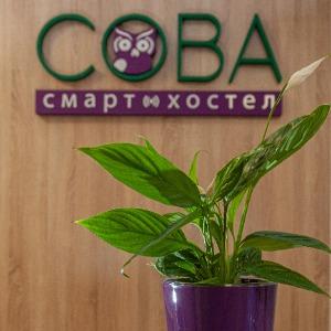 Hotel Sova Smart Hostel