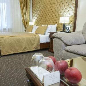 Hotel Metelitsa