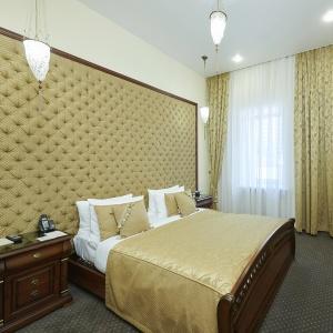 Hotel Metelitsa