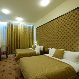 Hotel Metelitsa