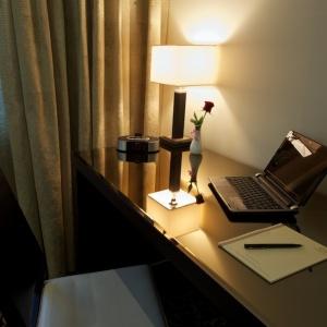 Hotel Metelitsa