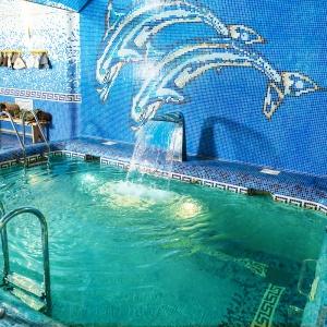 Hotel Shelestoff