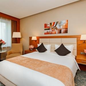 Hotel Holiday Inn Baku