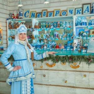 Гостиница Снегурочка