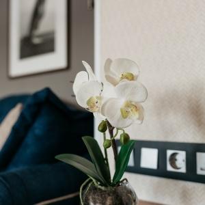 Hotel Golden Ring Kostroma