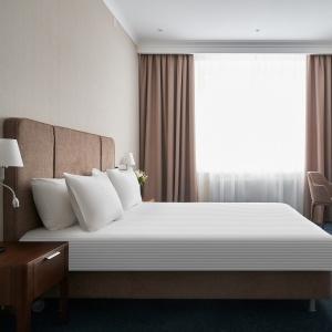 Moskovskaya Gorka by USTA Hotels