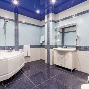 Hotel Platan