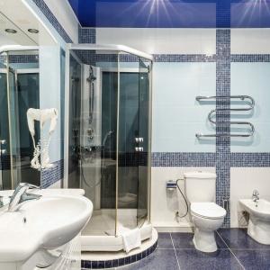 Hotel Platan
