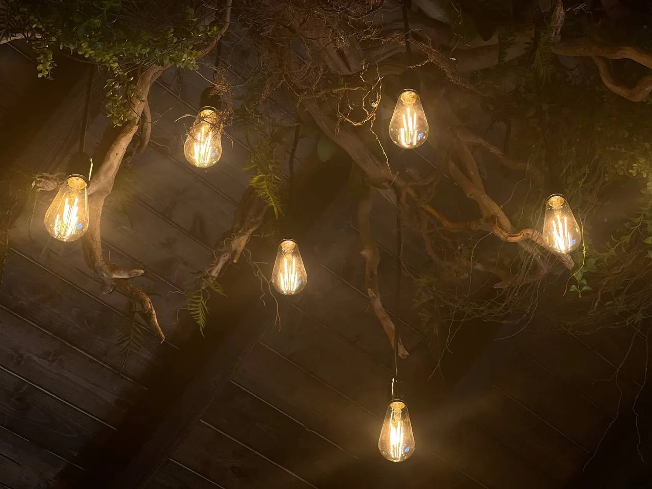 новая