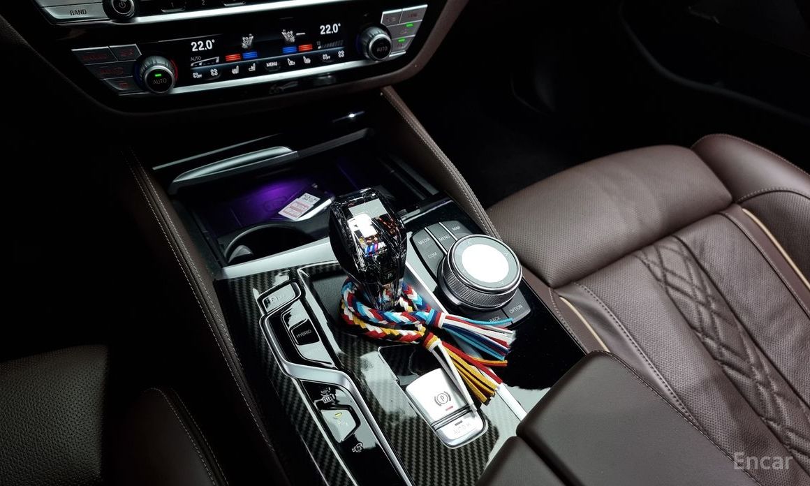 BMW 5 Series (G30)530e M Sport  10