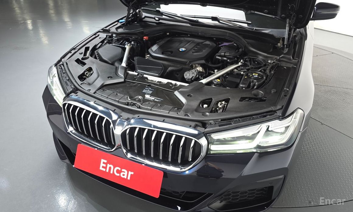 BMW 5 Series (G30) 523d xDrive M Sport  6