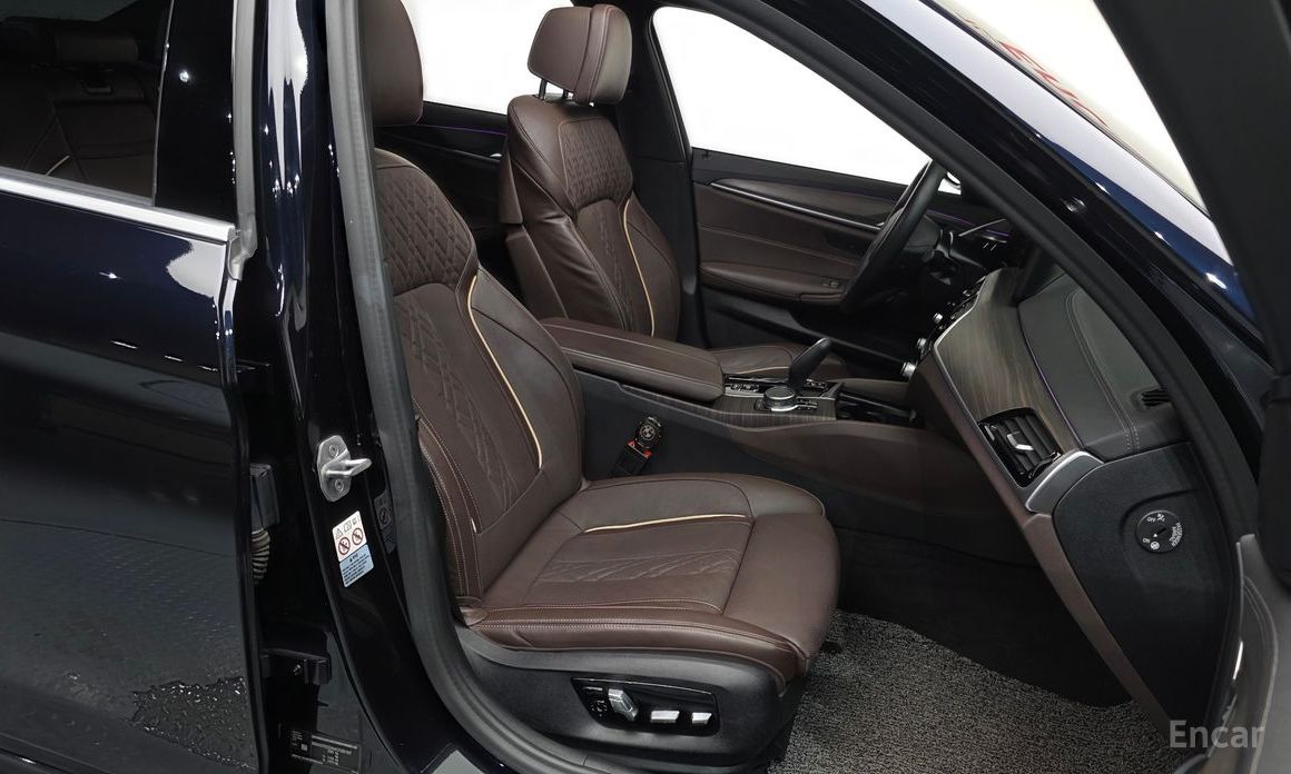 BMW 5 Series (G30) 523d xDrive M Sport  10
