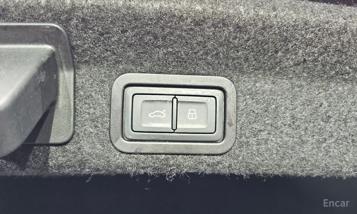 A6 (C8) 45 TFSI Quattro Premium 21