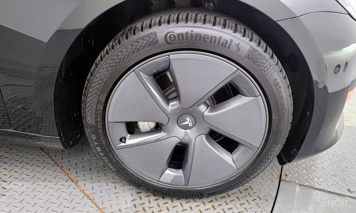 Model 3RWD 6